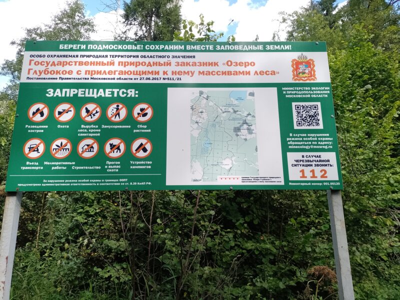 Автодорога (лыжероллеры) Н Горбово — Лызлово, состояние на 28 августа 2025 по отзыву, фото 7. 